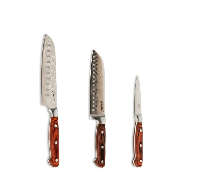 Coffret de 3 couteaux de chef Pasoli « Japon » - Couteaux de cuisine tranchants en acier inoxydable