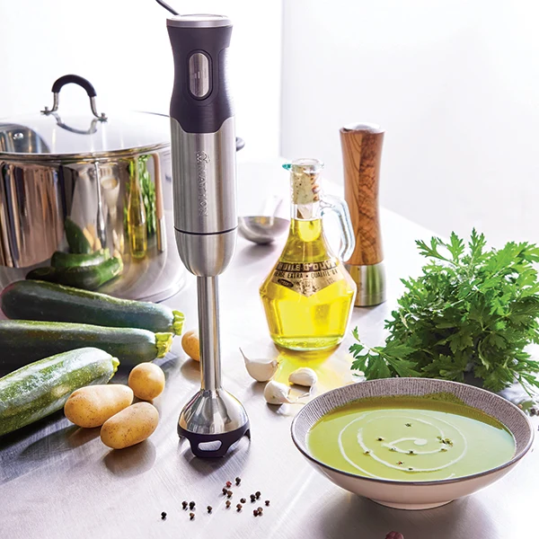 Mixeur plongeant 1000 W Mathon