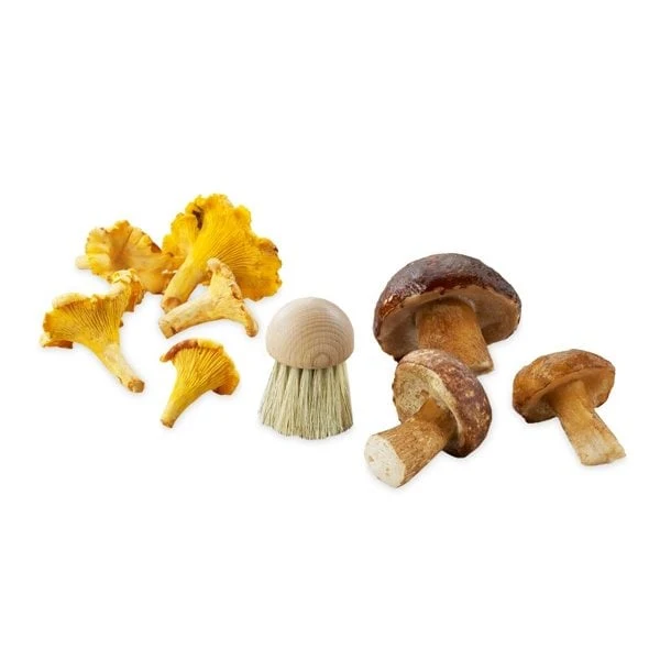 Brosse à champignons La Bonne Graine