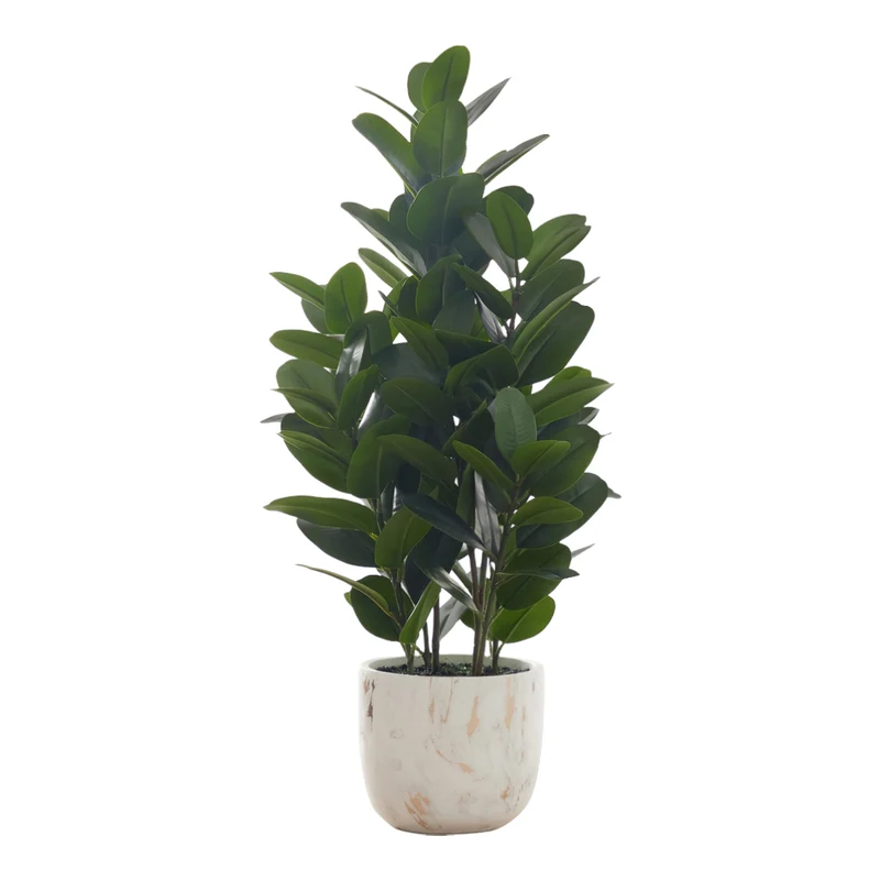Plantes artificielles - Garcinia