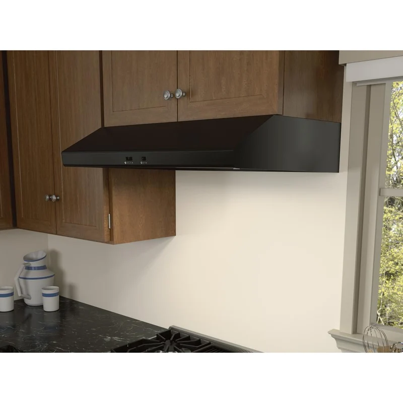 Zephyr Hotte de cuisinière sous cabinet Cyclone de 30 po AK6500CB