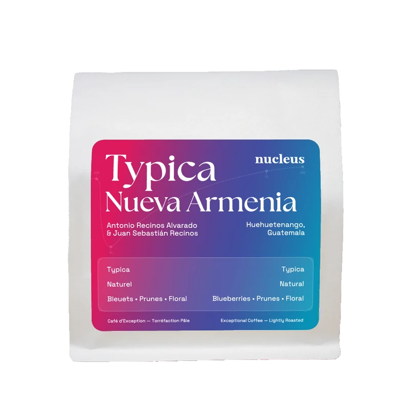 Typica Nueva Armenia